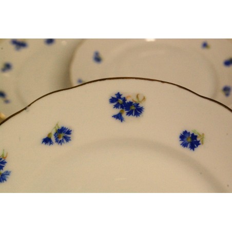 (n-5192/15)  Bavaria  rukkililledega salatitaldrikud, 4tk