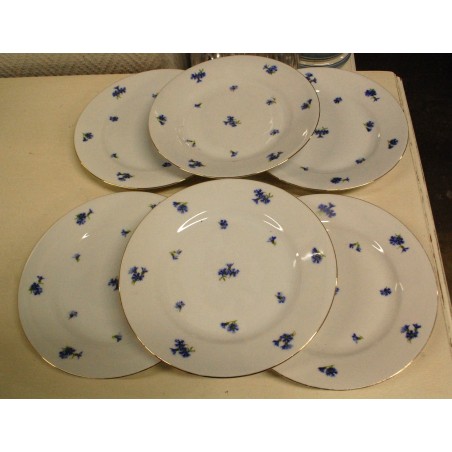 (n-5192/18)  Victoria rukkililledega salatitaldrikud, 6tk