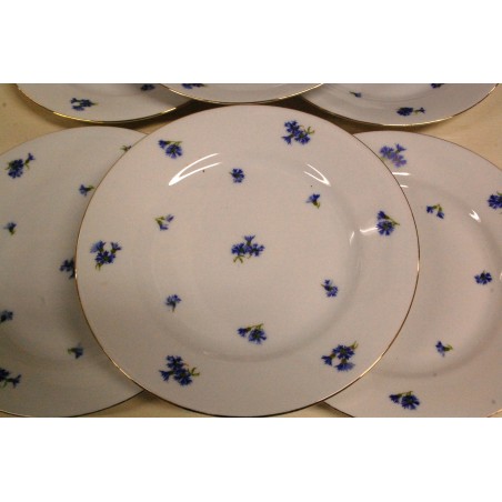 (n-5192/18)  Victoria rukkililledega salatitaldrikud, 6tk