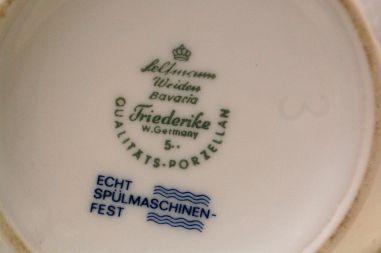 (n-5300/5) Bavaria Seltmann Weiden sibulamustriga kann