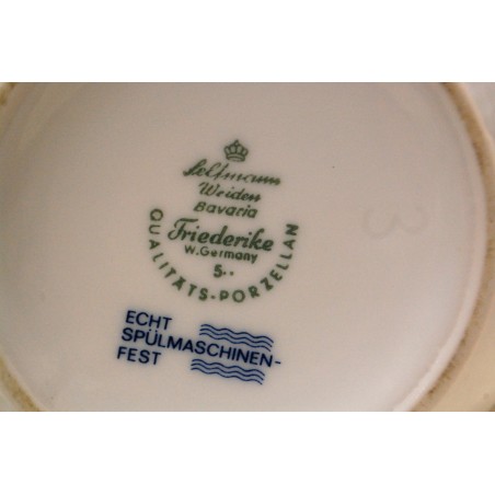 (n-5300/5) Bavaria Seltmann Weiden sibulamustriga kann