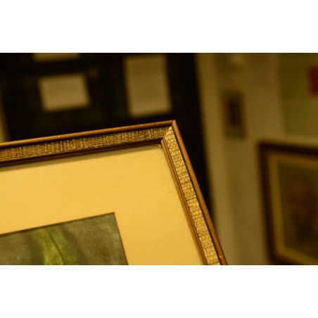 (P-571) Raamitud joonistus-pastell