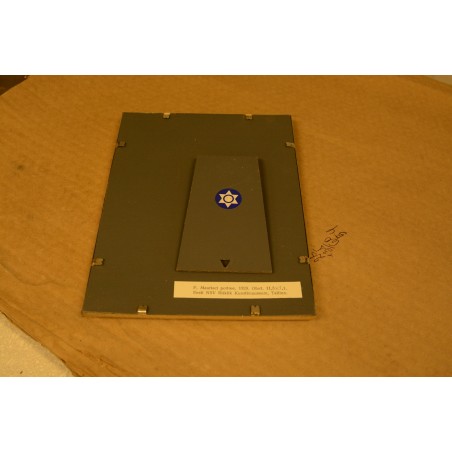 (P-640) Viiralt, trükirepro F.Mauriaci portree. Ofort. 1928