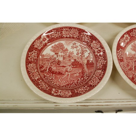 (n-5329/3) Villeroy & Boch Rusticana punased supi-pastataldrikud, 4tk