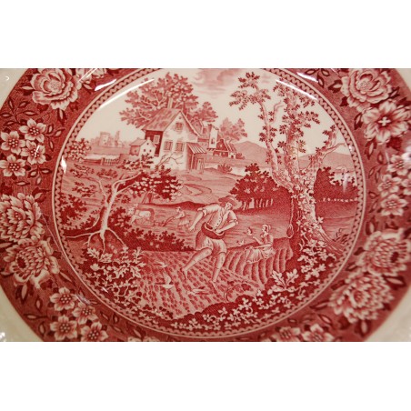 (n-5329/3) Villeroy & Boch Rusticana punased supi-pastataldrikud, 4tk