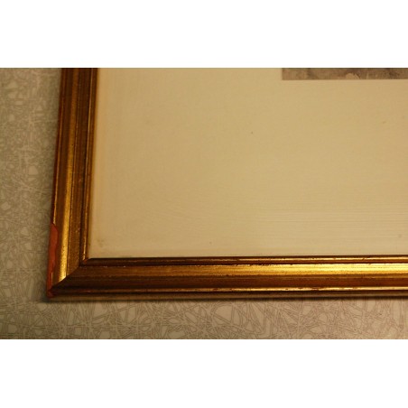 (P-884) Raamitud akvarell, signeeritud