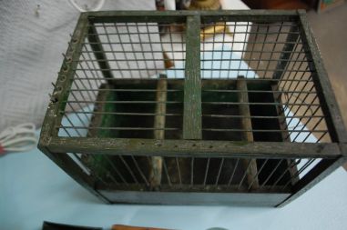 (6-999) Väike linnupuur