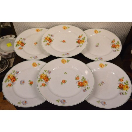 (n-4958/2) Roosilised praetaldrikud, 6tk