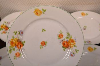 (n-4958/2) Roosilised praetaldrikud, 6tk 2