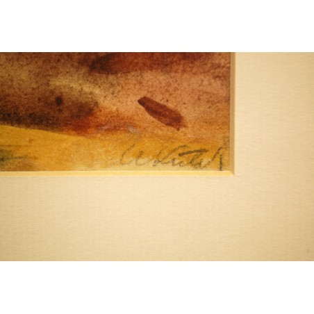 (P-892) Raamitud maal, signeeritud