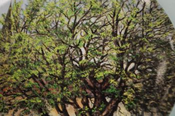 (n-2949/1) Ernst Wetteroth, Bavaria Alt Tirschenreuth, kollektsioontaldrik nr. B1783 2