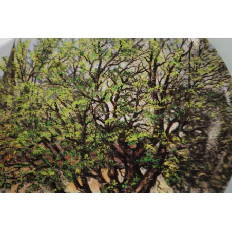 (n-2949/1) Ernst Wetteroth, Bavaria Alt Tirschenreuth, kollektsioontaldrik nr. B1783