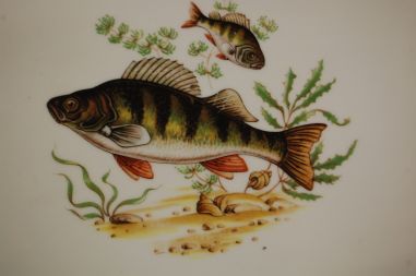 (n-5570/1)  Bavaria Schumann Arzberg, suurem ovaalne kalavaagen