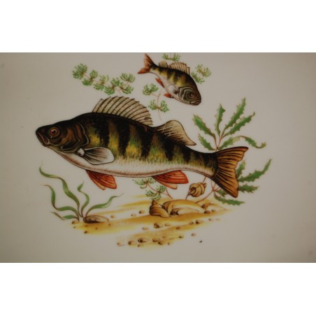 (n-5570/1)  Bavaria Schumann Arzberg, suurem ovaalne kalavaagen