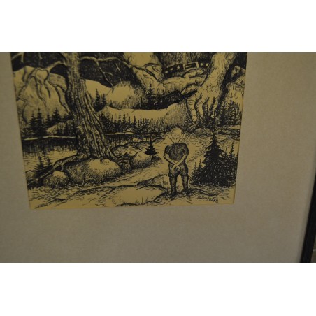 (P-903) Raamitud pilt