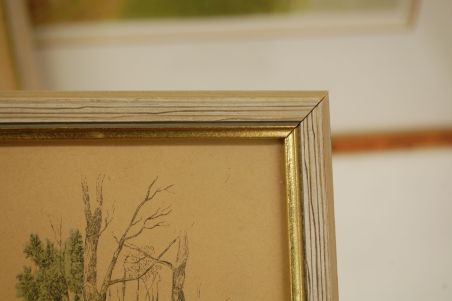 (R-025) 2tk Vanad raamitud pildid Prantsuse moest 1800a