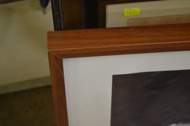 (R-052) Lasse Holgersson ,,Race,, - prinditud repro