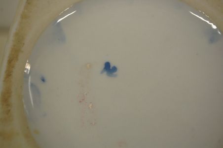 (n-5852) Suur uhke vaas (n-5852) Suur uhke vaas