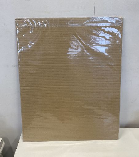 (P-913) Trükipilt-plakat kaisukarudega