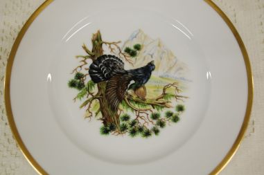 (n-5957) RZB Germany, kollektsioontaldrik "Metsis"