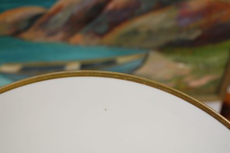 (n-5978) P.T Bavaria Tirschenreuth, puuviljadega vaagen