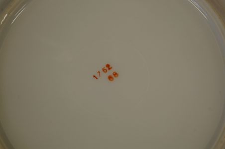 (n-5994) Puuviljadega koogitaldrikud, 5tk