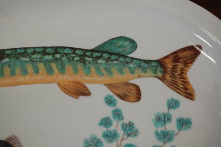 (n-6000) W Wawel, kalavaagen