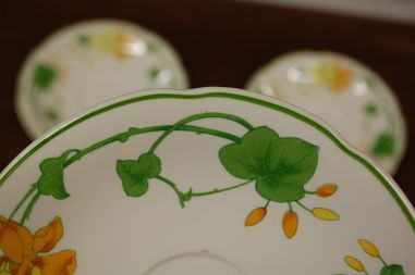 (n-6360/12) Villeroy & Boch Geranium taldrikud, 5tk