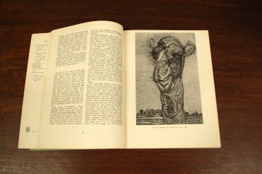 (P-977) Raamat Kunst, 1/1958