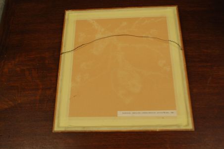 (P-982) Viiralt, trükirepro Madonna