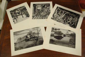 (P-993) Paul Liivak, mapp reprodega 2