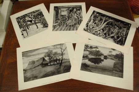 (P-993) Paul Liivak, mapp reprodega