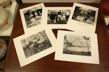 (P-993) Paul Liivak, mapp reprodega