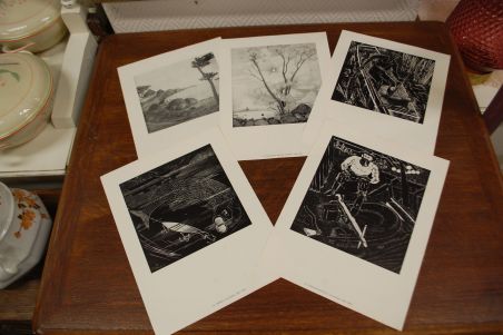 (P-993) Paul Liivak, mapp reprodega