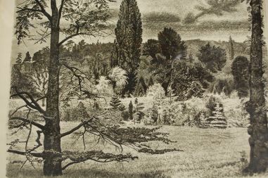 (P-997) Viiralt, trükirepro Maastik Pariisi lähedal