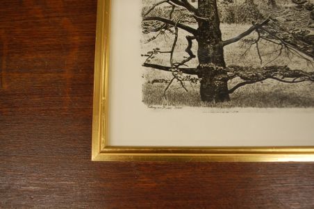 (P-997) Viiralt, trükirepro Maastik Pariisi lähedal