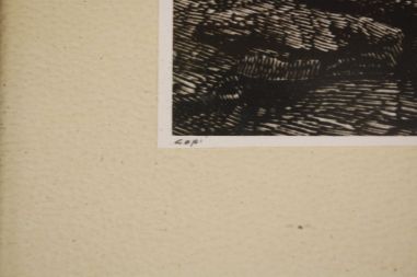 (P-1000) Raamitud trükk