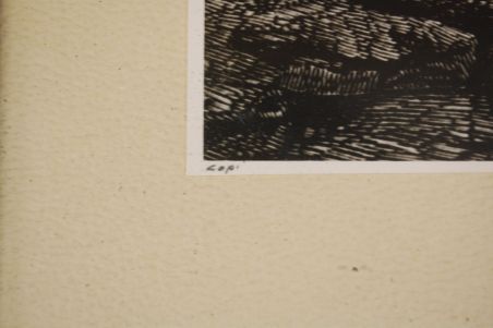 (P-1000) Raamitud trükk