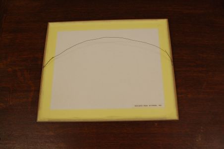 (P-1001) Viiralt, trükirepro Neegrite pead