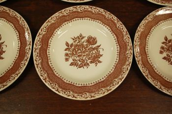 (n-2491/1) English Ironstone, pruunid salatitaldrikud, 6tk 2