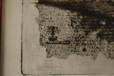 (P-1004) Viiralt, trükirepro Eesti neiu