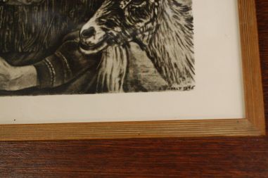 (P-1006) Viiralt, trükirepro Lapi maastik