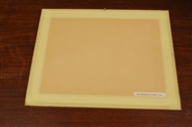 (P-1006) Viiralt, trükirepro Lapi maastik