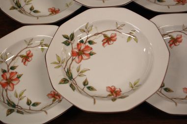 (n-6556/9) Bavaria Winterling Marktleuthen, õunapuuõitega supi-pastataldrikud, 6tk