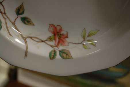 (n-6556/9) Bavaria Winterling Marktleuthen, õunapuuõitega supi-pastataldrikud, 6tk