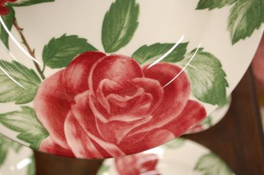 (n-6595/2) Claytan Tableware, roosilised supi-pastataldrikud, 6tk