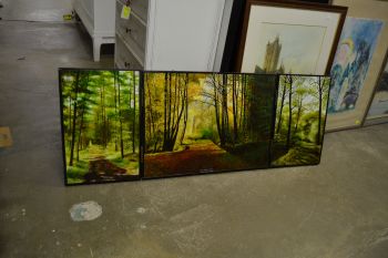 (n-6627) Kokkuvolditav suurem loodusmaal