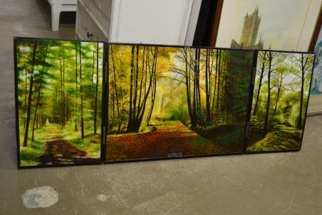 (n-6627) Kokkuvolditav suurem loodusmaal