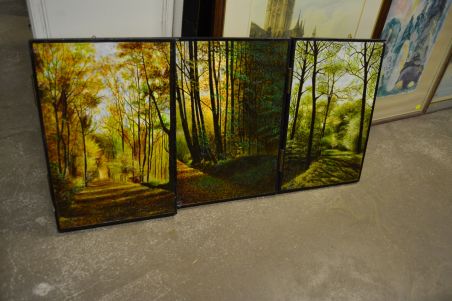 (n-6627) Kokkuvolditav suurem loodusmaal