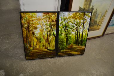 (n-6627) Kokkuvolditav suurem loodusmaal